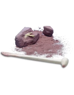 4M - Kidz Labs - Dig A Glow Dinosaur