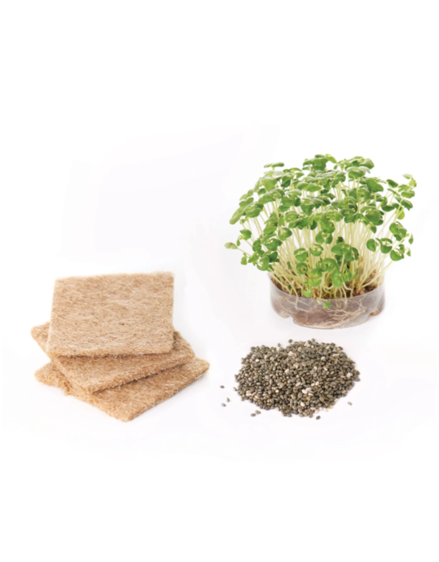 Creativity For Kids - Build And Grow Tree House - Image 4