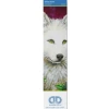 Diamond Dotz - White Wolf Diamond Dotz Art Kit