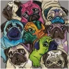 Diamond Dotz - World Of Pugs Diamond Dotz Art Kits