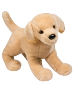 Douglas - Mandy Yellow Lab