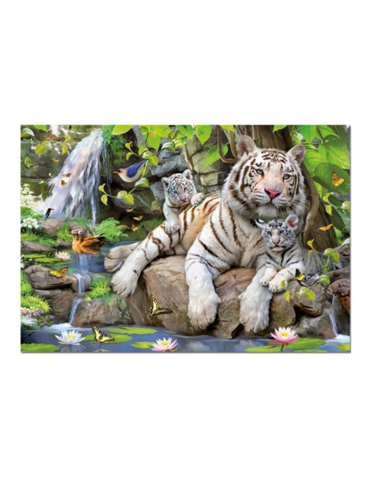 Educa - White Tigers Of Bengal (1000pcs) - Image 2