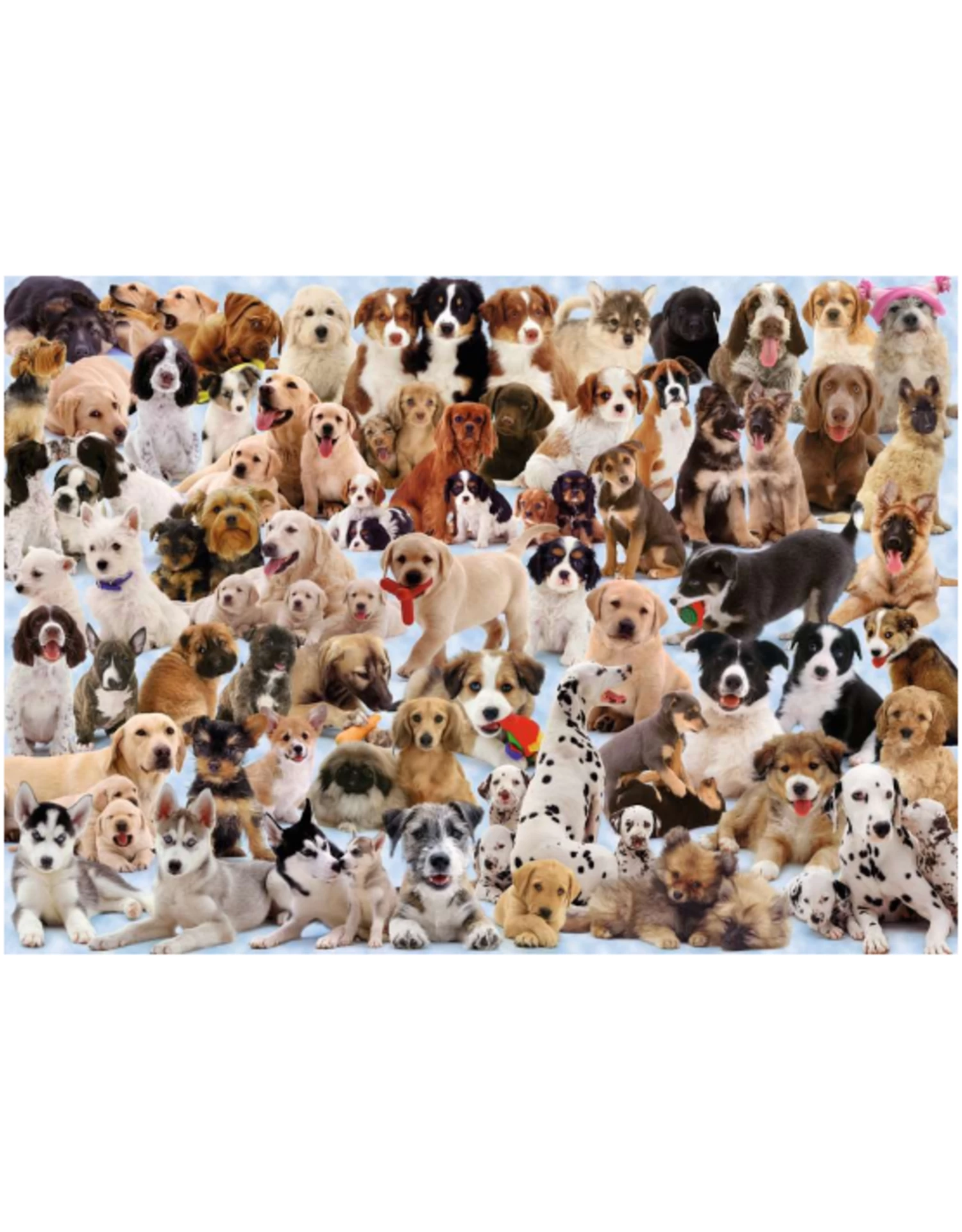 Ravensburger - 1000 Pcs - Dogs Galore! - Image 2