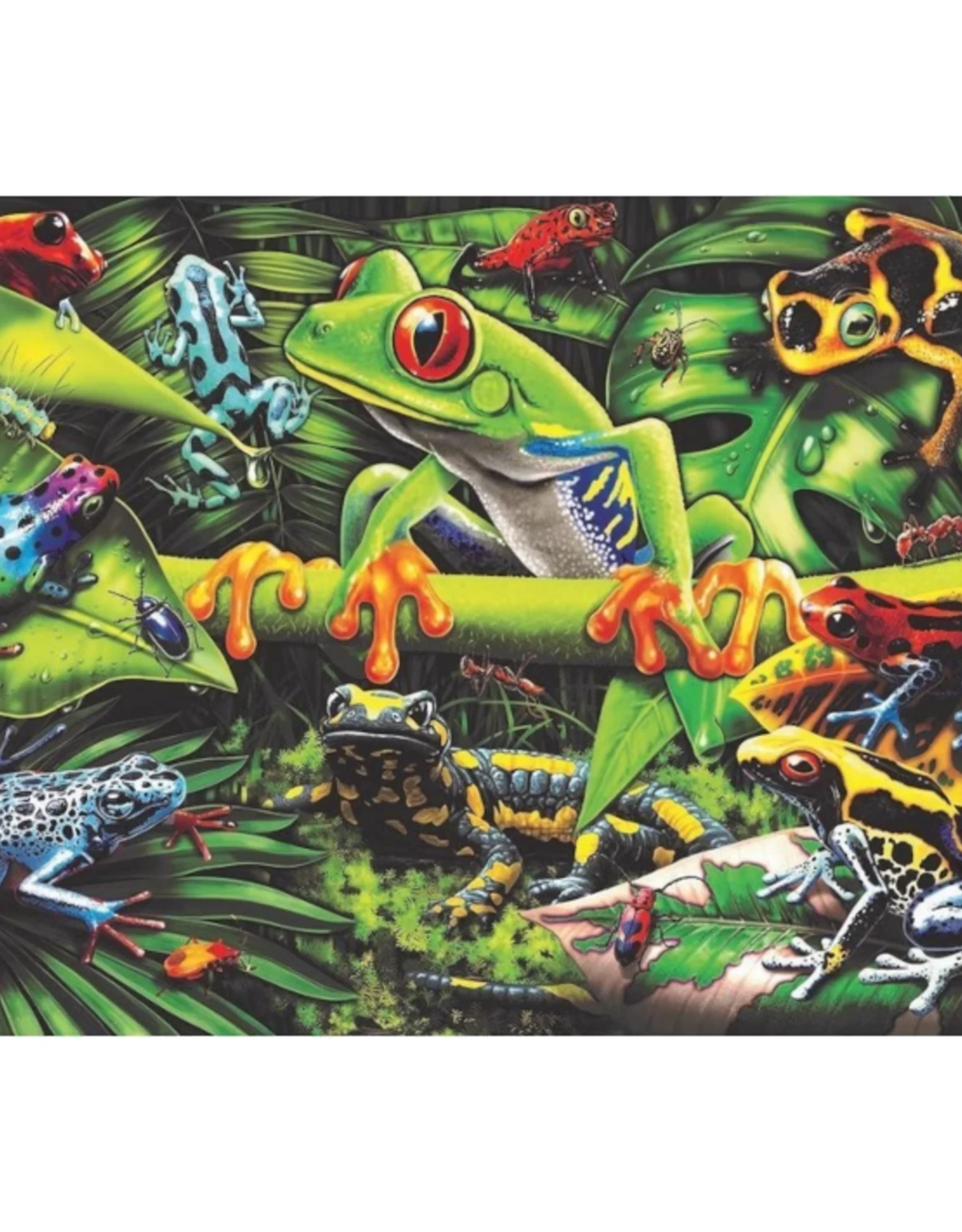Ravensburger - 4+ - 35pcs - Amazing Amphibians - Image 2