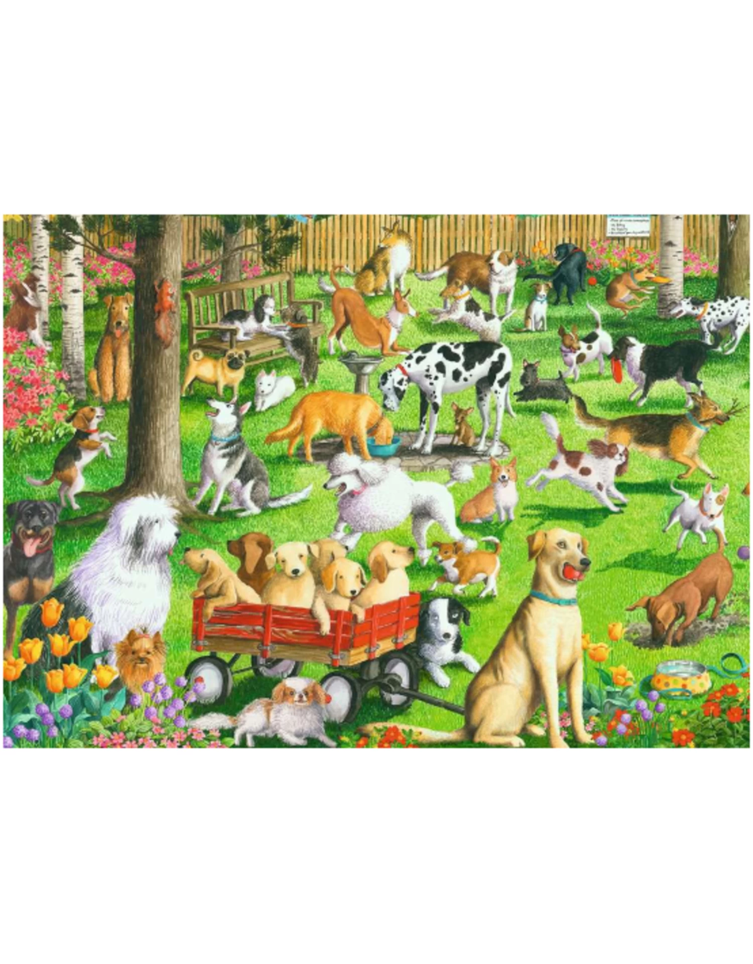 Ravensburger - 500pc - Large Format - At The Dog Park - Image 2