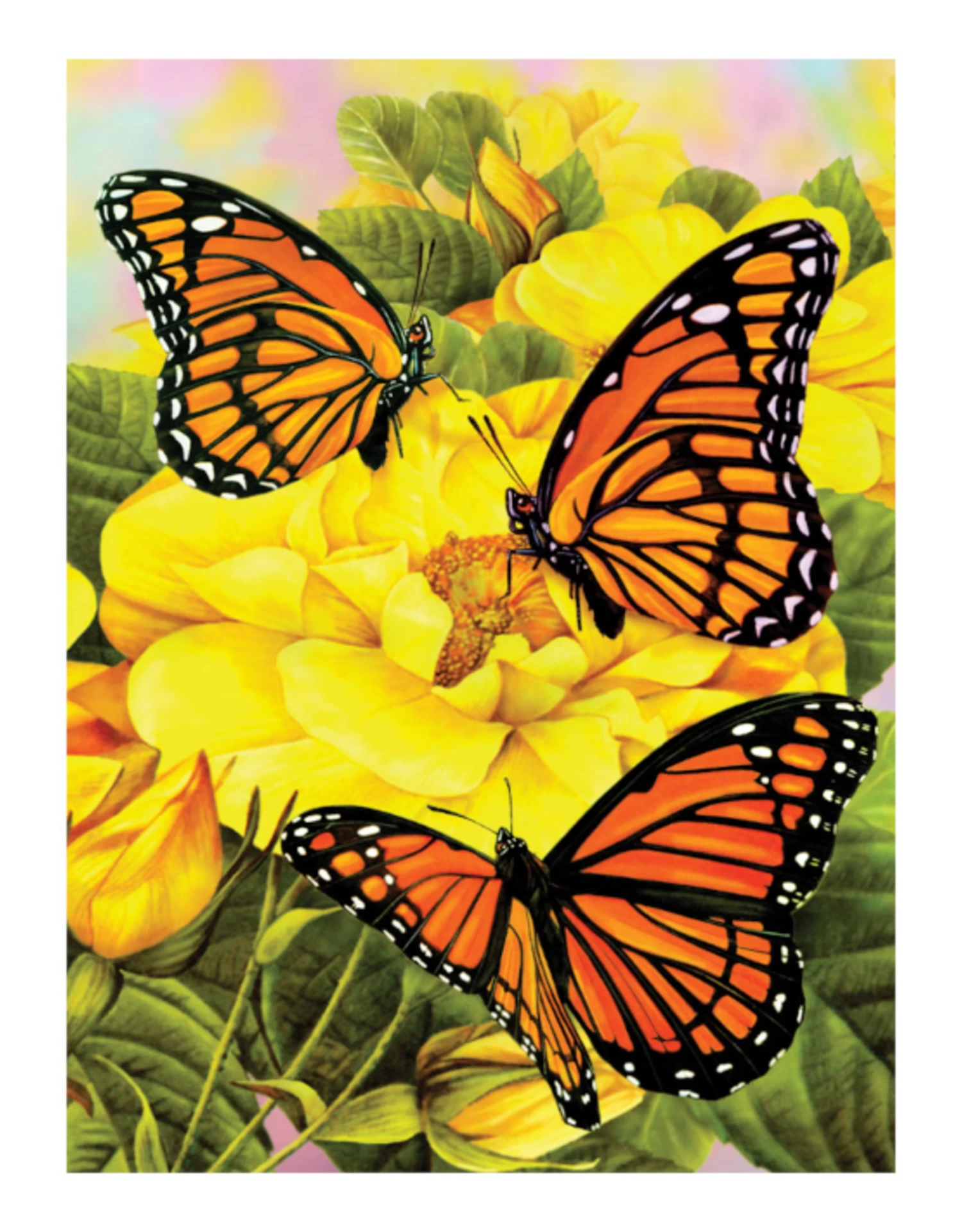 Royal & Langnickel - Paint By Numbers - Majestic Monarchs - Image 2