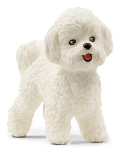 Schleich - Farm World - 13963 - Bichon Frise