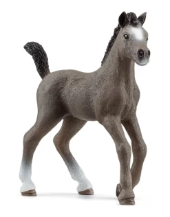 Schleich - Horse Club - 13957 - Selle Francais Foal